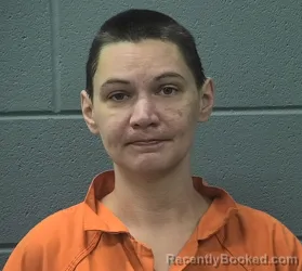 Mugshot of BRITTANY ELAINE VANWINKLE booked in Cass County, Indiana on July 14, 2026