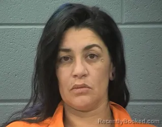 Mugshot of Ashley Marie Armijo booked in Cass County, Indiana on October 6, 2026