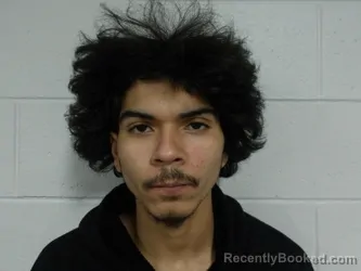 Mugshot of CONTRERAS-FLORES, JOSE