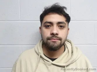Mugshot of MORALES VIZUET, GERARDO