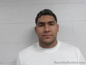 Mugshot of MARIN LUENGO, JOLBER