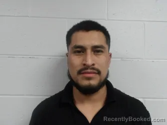 Mugshot of RAMOS LETONA, WILSON