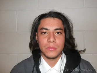 Booking photo from Clay County, Indiana