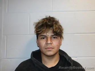 Booking photo from Clay County, Indiana