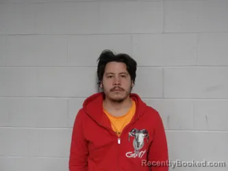 Mugshot of MARTINEZ-TORRES, LUIGI