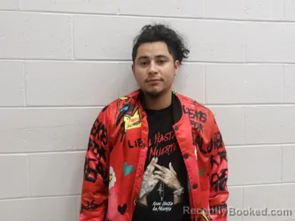 Mugshot of MARTINES PADILLA, LUIS