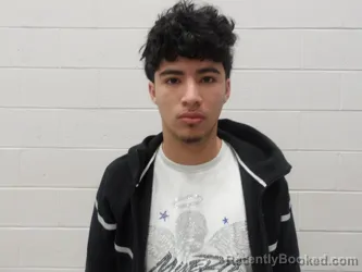 Booking photo from Clay County, Indiana