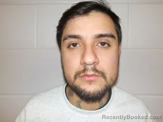 Mugshot of ROSALES TORRES, BRYAN