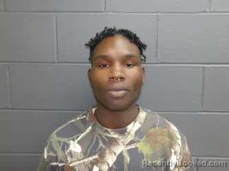 Booking photo from Clay County, Indiana