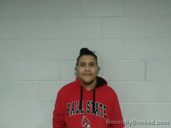 Mugshot of VICTORIANO-GENAO, MICHELL