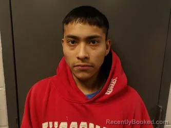 Mugshot of TEMOTLE-MAYAHUA, ALFREDO