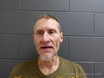 Mugshot of McGaughy, Shannon Gayle