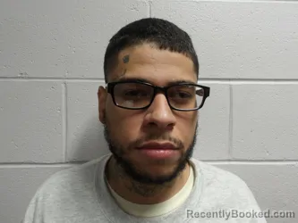 Mugshot of GONCALVES DE ASSIS, VINICIUS