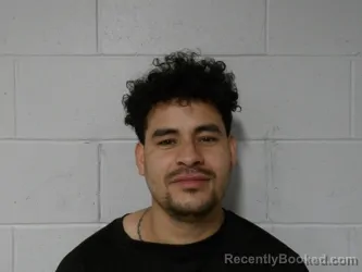 Mugshot of CAMACHO GARCIA, NAUDIS