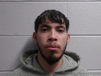 Mugshot of MEJIAS VILLAMIZAR, IBRAIN