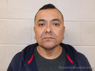 Mugshot of LEON-VIVEROS, RAUL