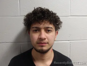 Mugshot of MARTINEZ-ORELLANA, ALDAIR booked in Clay County, Indiana on March 8, 2026