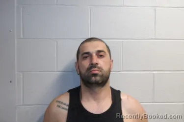 Mugshot of MARDALEISHVILI, NODARI booked in Clay County, Indiana on March 11, 2026