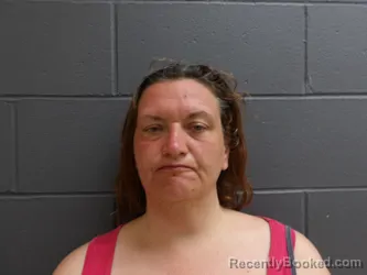 Mugshot of Bird, Crystal L booked in Clay County, Indiana on March 21, 2026