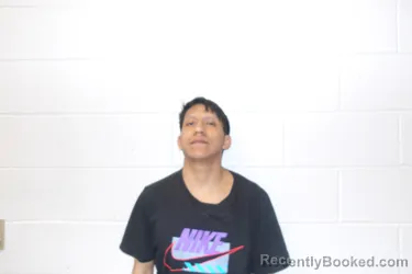 Mugshot of VEGA GUAMANGATE, WELINTON booked in Clay County, Indiana on March 22, 2026