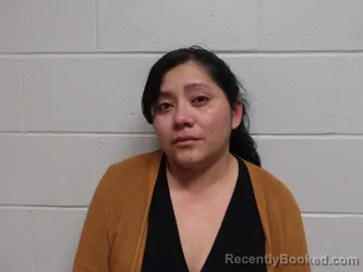 Mugshot of LOPEZ RIVAS, DEYSI EDUVIGES booked in Clay County, Indiana on March 23, 2026