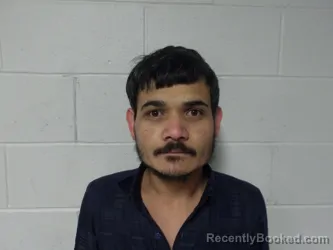 Mugshot of MAHINDRA BRUI, PATEL booked in Clay County, Indiana on March 24, 2026