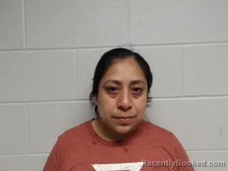 Mugshot of RAMIREZ-SALINAS, YESENIA booked in Clay County, Indiana on March 25, 2026