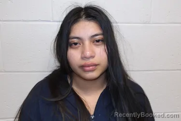 Mugshot of LUCIA, PEDRO MARCOS booked in Clay County, Indiana on March 31, 2026