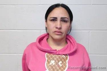 Mugshot of ARIAS GUTIERREZ, KARINA booked in Clay County, Indiana on April 1, 2026