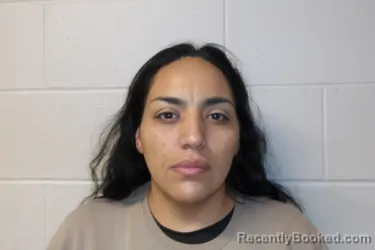 Mugshot of TABOADA SILVA, LESLIE DANIELA booked in Clay County, Indiana on April 2, 2026