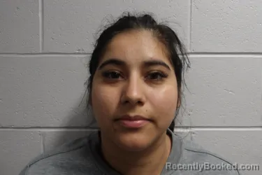 Mugshot of CASTILLA RAMIREZ, GISELLE booked in Clay County, Indiana on May 17, 2026