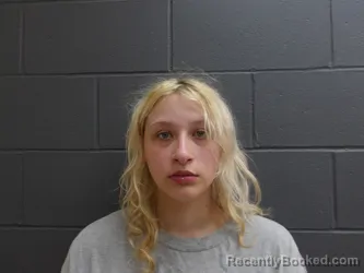 Booking photo from Clay County, Indiana