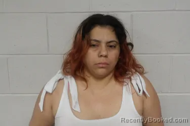 Mugshot of GONZALEZ-SARANTES, JAHAIRA booked in Clay County, Indiana on June 16, 2026