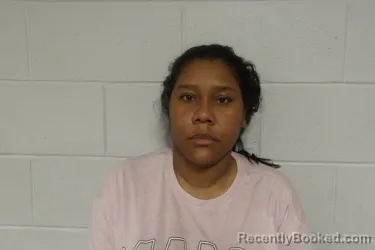 Mugshot of ORTIZ-CASTILLO, DINA booked in Clay County, Indiana on June 16, 2026