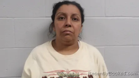 Mugshot of Mayorga, Ericka Del Socorro booked in Clay County, Indiana on August 20, 2026