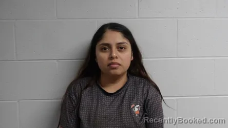 Mugshot of Diaz-Gutierrez, Genesis booked in Clay County, Indiana on August 21, 2026