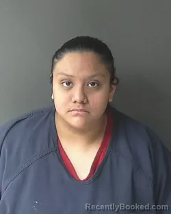 Mugshot of Rosicela Martinez booked in Clinton County, Indiana on May 8, 2026