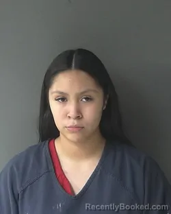 Mugshot of Vanessa Regalado Alanis booked in Clinton County, Indiana on April 20, 2026