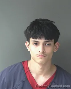 Booking photo from Clinton County, Indiana