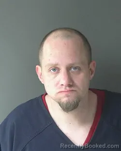 Mugshot of Tracey Lee Williams booked in Clinton County, Indiana on March 19, 2026