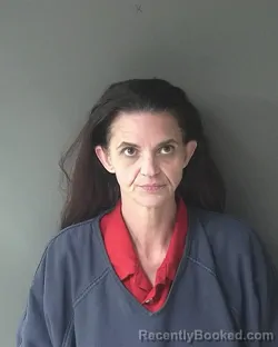 Mugshot of Crystal Dawn Reed booked in Clinton County, Indiana on May 11, 2026