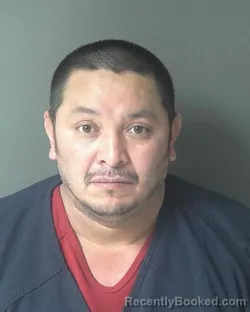 Mugshot of Nelson Castro