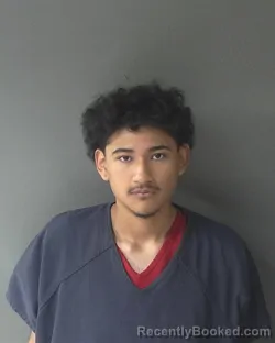 Mugshot of Alejandro Aleman booked in Clinton County, Indiana on June 21, 2026