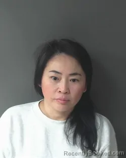 Mugshot of Liying Ai
