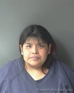 Booking photo from Clinton County, Indiana