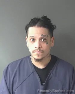 Mugshot of Ibjar Meneses Ramirez