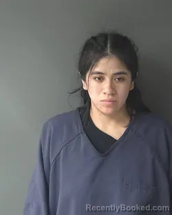 Mugshot of Evelyn Luz Garcia