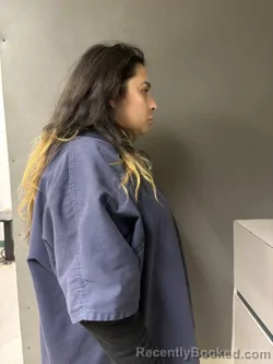 Mugshot of Rodrigo Castillo-lopez