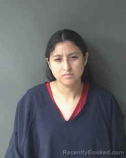 Mugshot of Brenda Ontiniano Brena