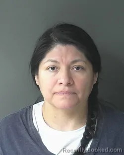Mugshot of Araceli Martinez-reyes